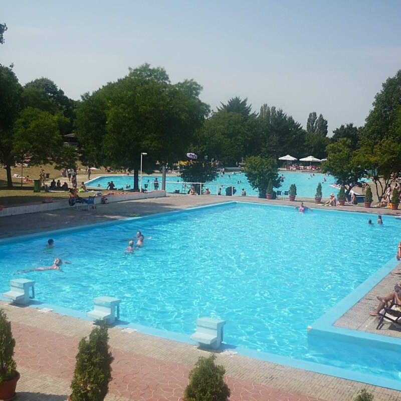 Otvoreni bazeni Sportskog centra Košutnjak sa zelenim površinama