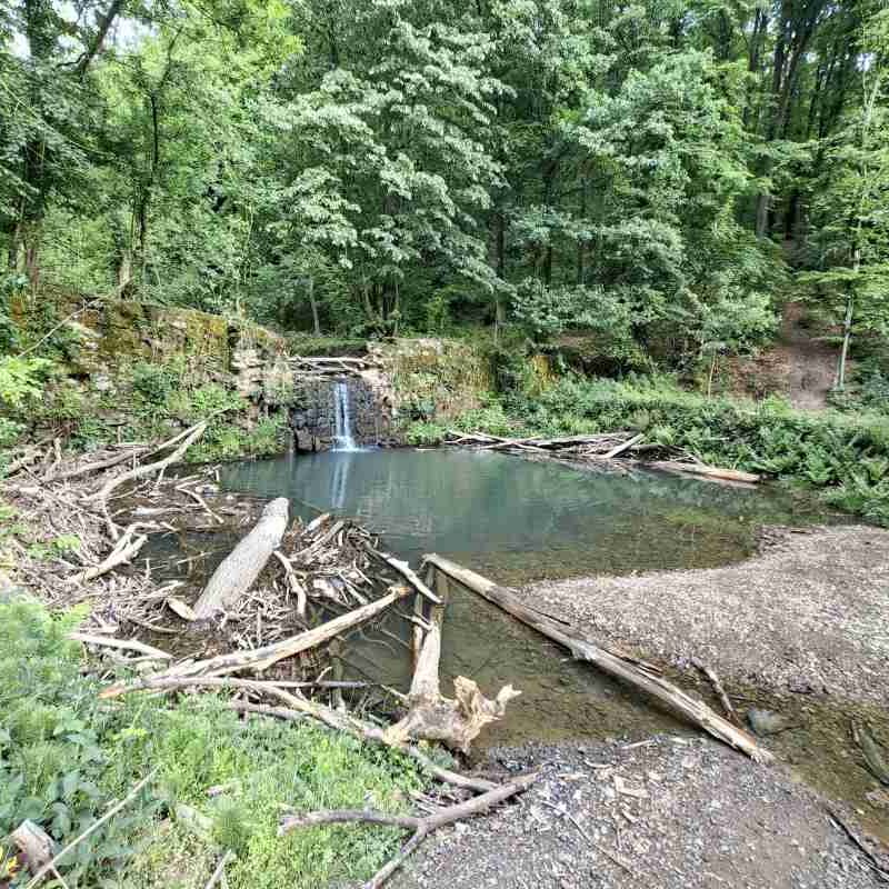 A forest stream with a small waterfall in one of Belgrade's most beautiful forests.