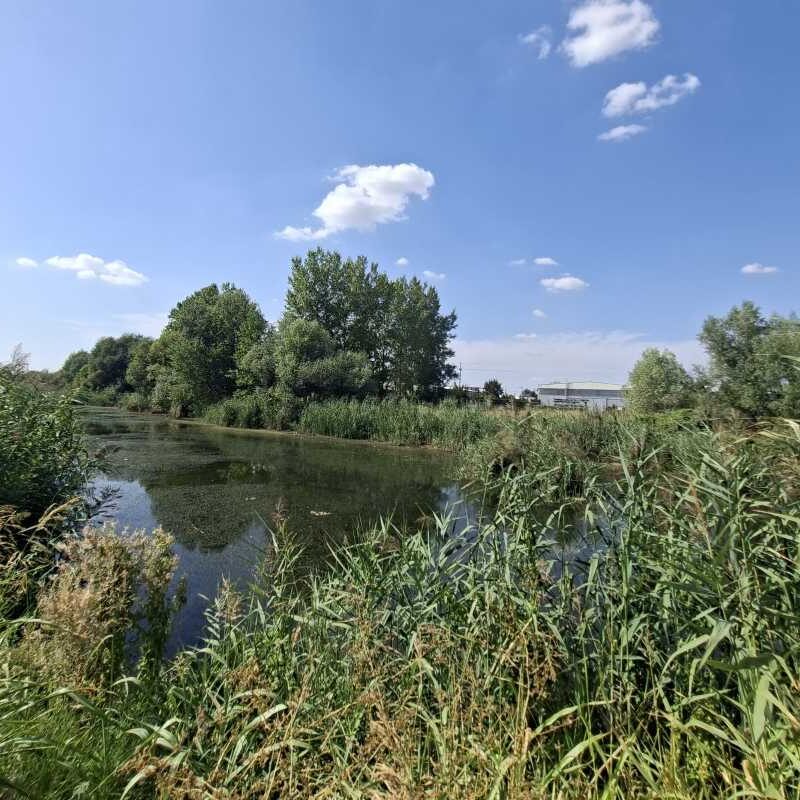 Pogled na kanal Kalovita u Pančevačkom ritu na Paliluli