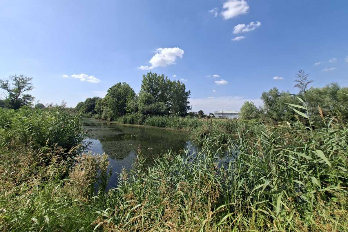 Pogled na kanal Kalovita u Pančevačkom ritu na Paliluli