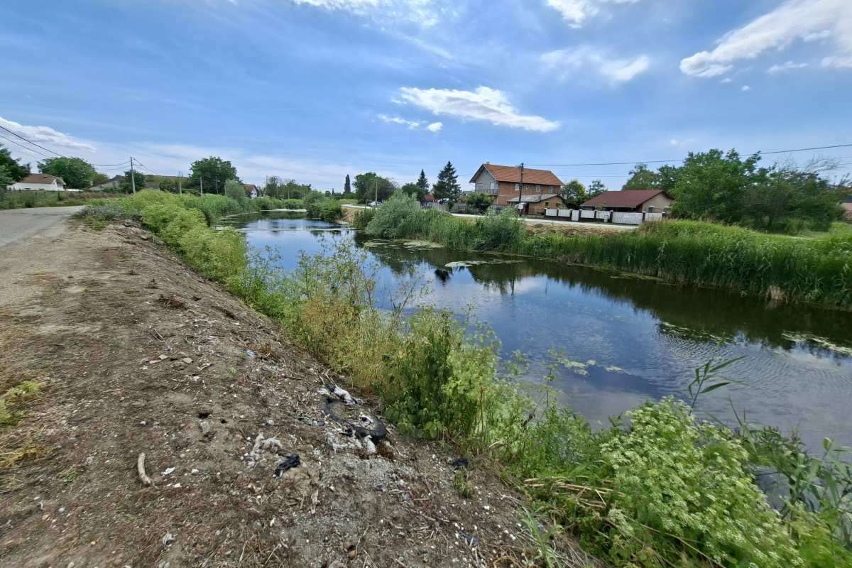 Kanal Sebeš – pogled kroz Pančevački rit Pogled duž kanala Sebeš kroz Pančevački rit